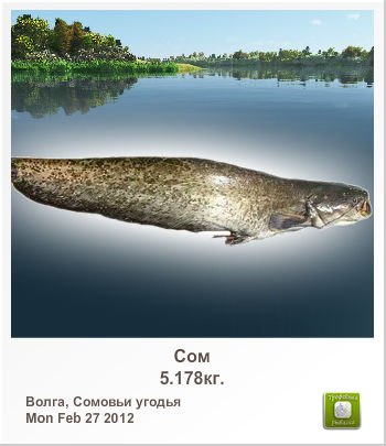 Андрей Купчинский ТАРЧЕК | Бобруйск