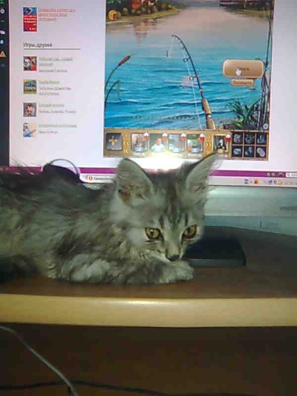 Татьяна Крюкова | 