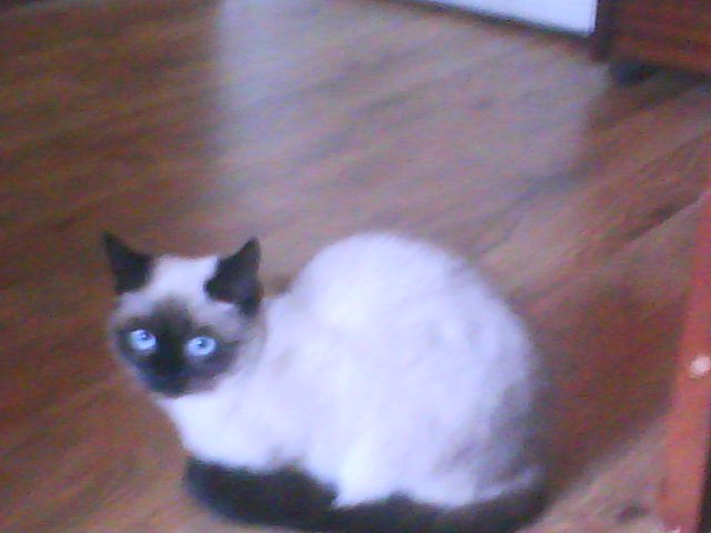 Мария Ткачёва | Казань