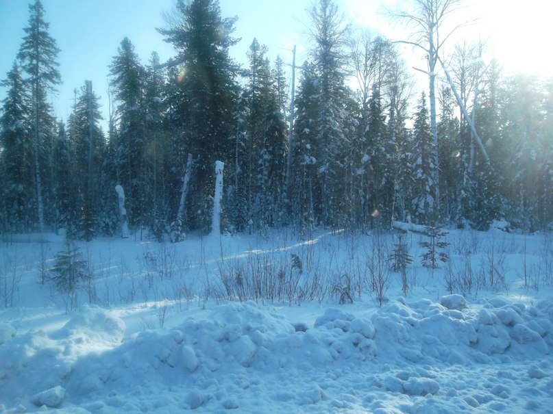 Виктор Сергеев | Челябинск