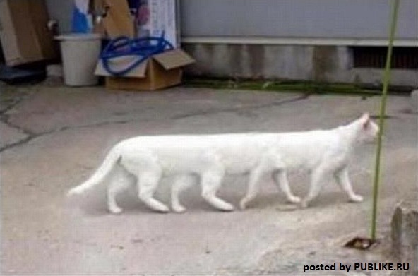 №119, Илья Быдин, Люберцы №119, Илья Быдин, Люберцы