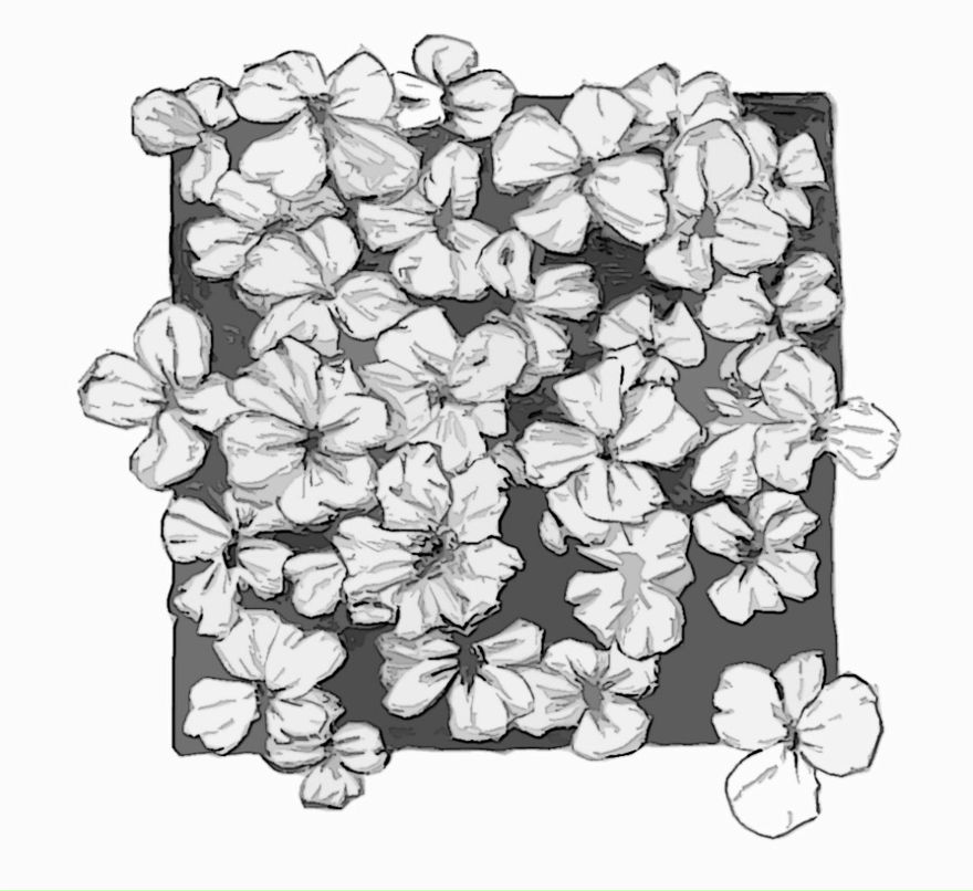 Игорь Юхименко ✧ФриОниз✧ | Хуст