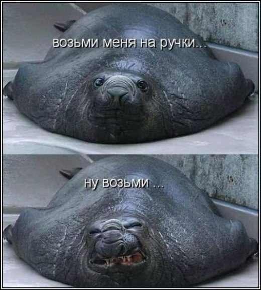 Лина Богатова | Казань