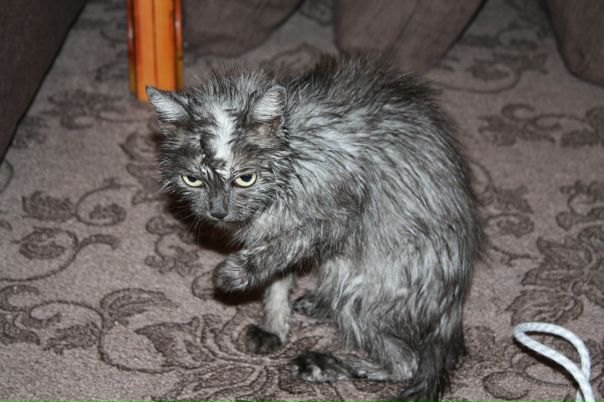 №6, Денис Нахтигаль, 41 год, Славгород №6, Денис Нахтигаль, 41 год, Славгород