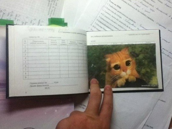 Виктор Анопко | Нижний Новгород