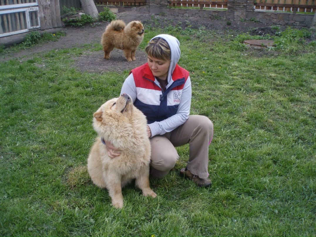 Света Стадийчук | Дубно