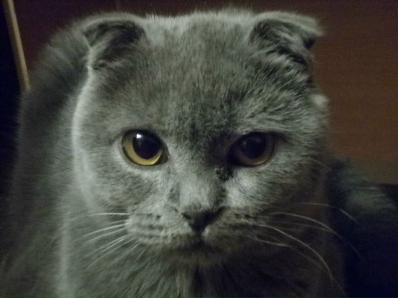 Евгения Латышева | Омск