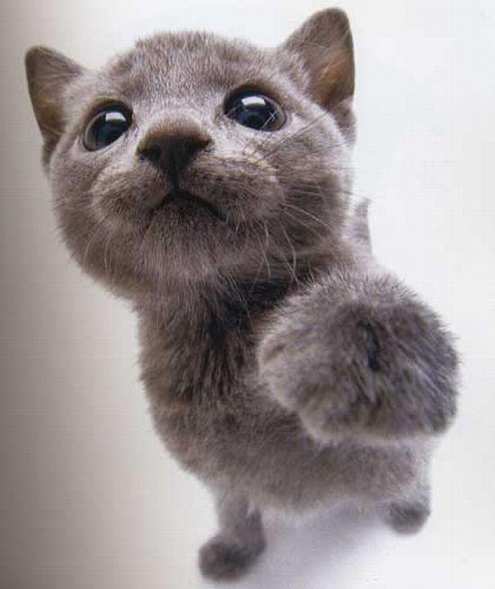 Станислав Иванович * Святой * | Полтава