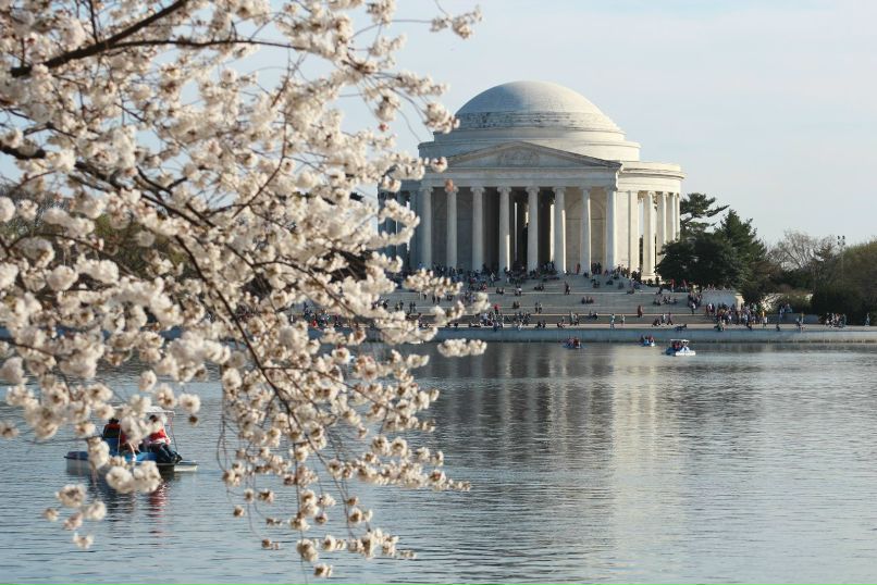 Валентина Кингсолвер | Albuquerque