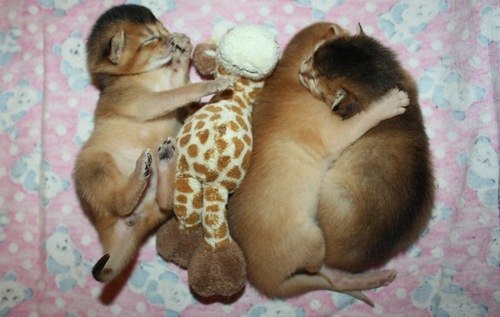 Сергей Иванов | Краснодар