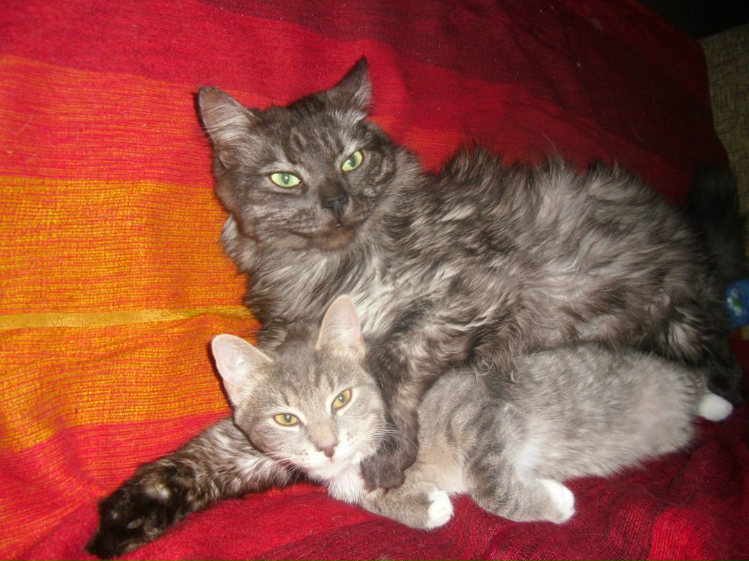 Михаил Бужацкий | Москва