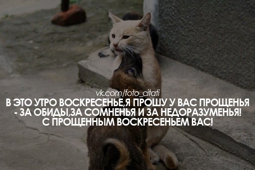 №154, Оксана Виштикалюк, 41 год, Киев №154, Оксана Виштикалюк, 41 год, Киев