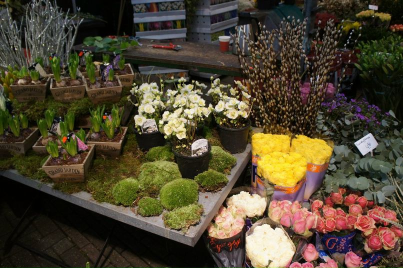 Катя Кузнецова | Киев