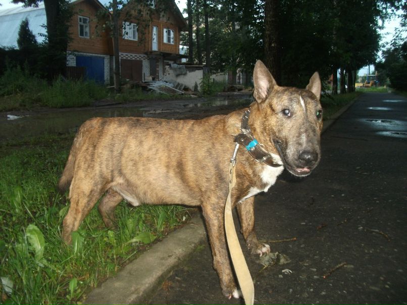 Костян Чакичев brat | Йошкар-Ола