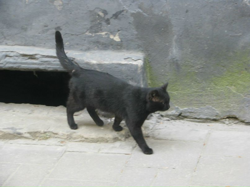 Анна Бовтун | Киев