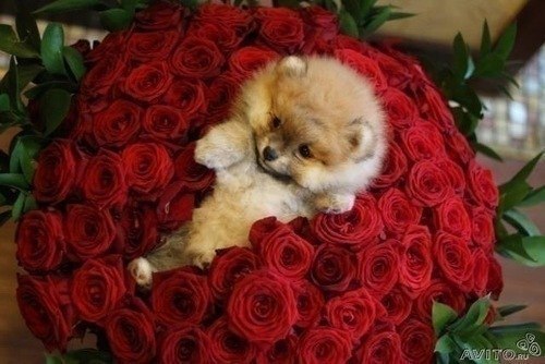 №6, Наталя Свянтко, 26 лет №6, Наталя Свянтко, 26 лет