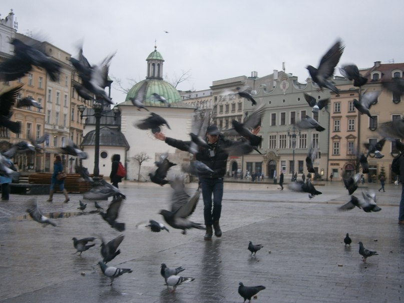 Роман Величко | Киев