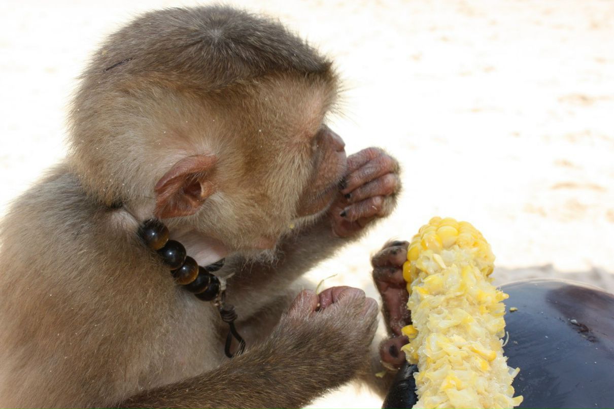 Кристина Жигалева | Москва