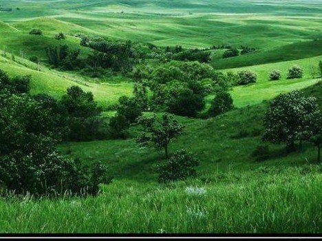 Оля Скрипчук | Луцк