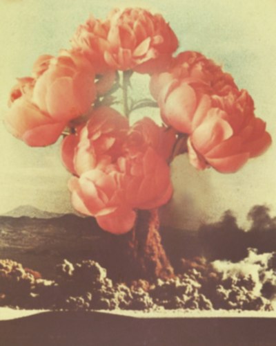 Евгения Снигур | Хмельницкий