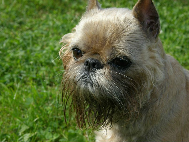 Александра Орлова | Санкт-Петербург