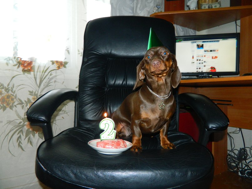 Anton Braun | Новодвинск