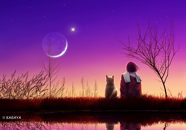 Роксолана Шаламай | 