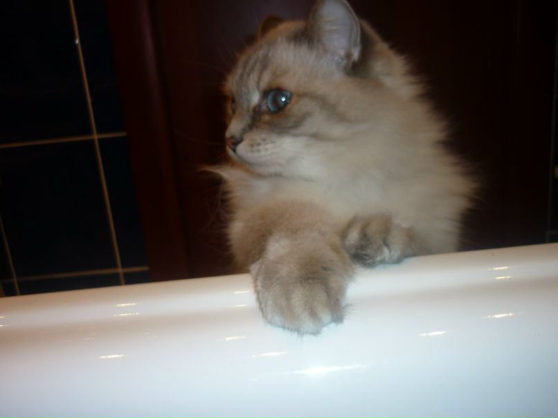 Алёна Наглаямоська | 