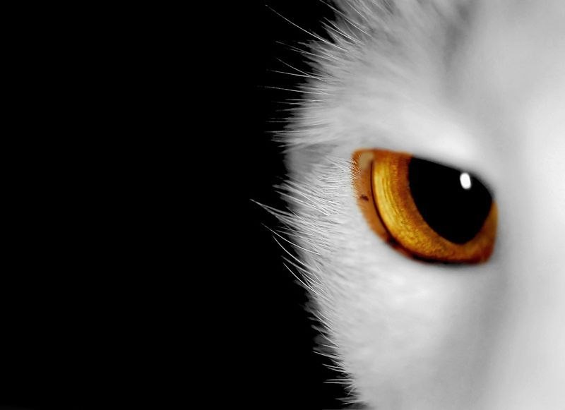 Алексей Викторович | Москва