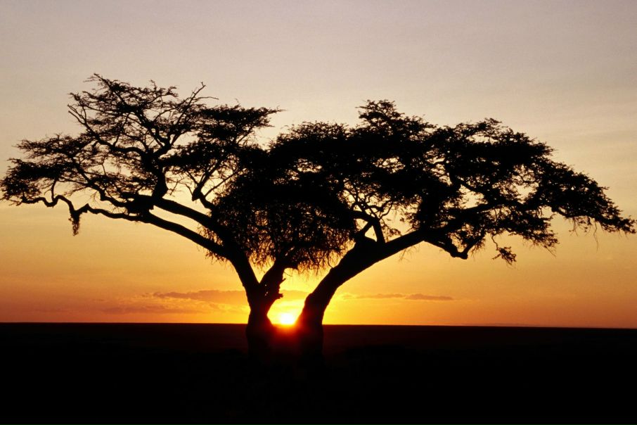 №135, Inna Melnik, Санкт-Петербург №135, Inna Melnik, Санкт-Петербург