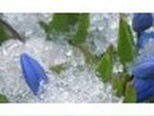 Юлия Кравцова | 