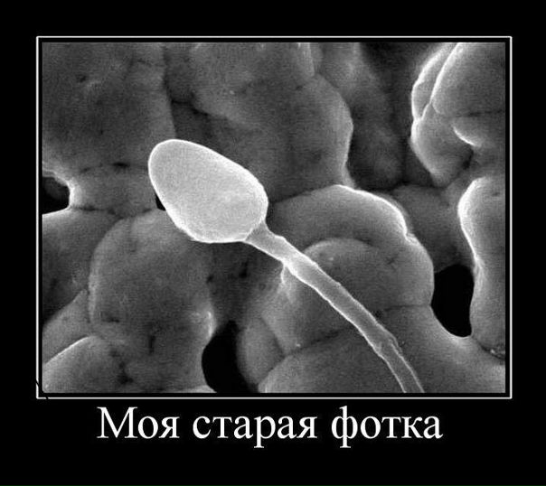 №105, Алёна Волконогова, Краснодон №105, Алёна Волконогова, Краснодон