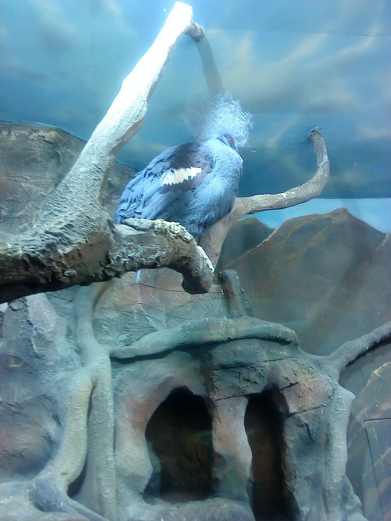 Татьяна Баранихина | Москва