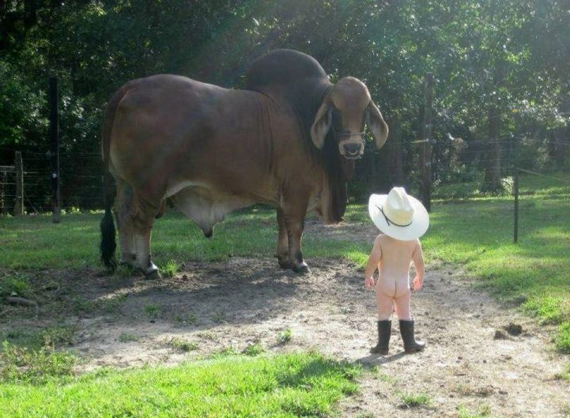 Таир Мамедов | 