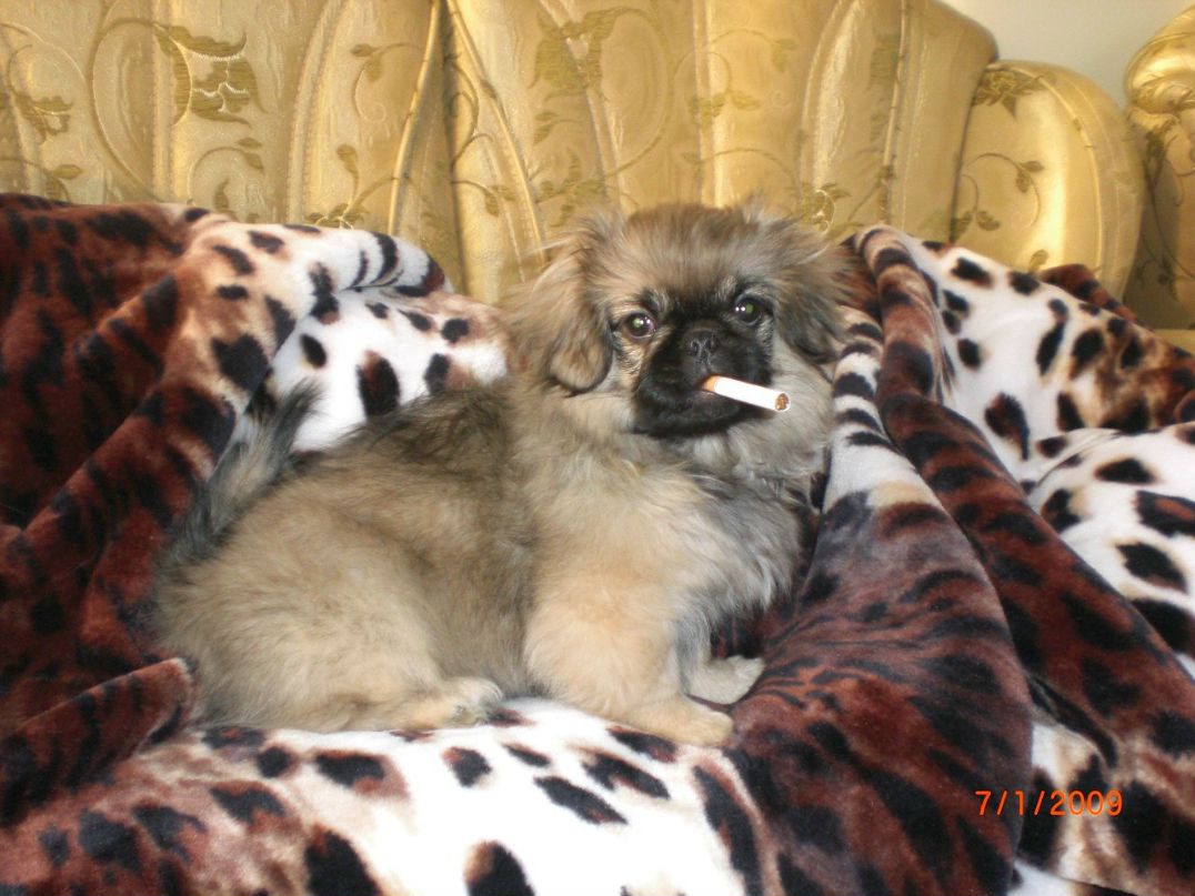 Олег Певний | Ровно