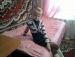 Ирина Левина фотография #45 (источник - https://vk.com/id99346274)