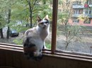 Фотография Тихонова Василия