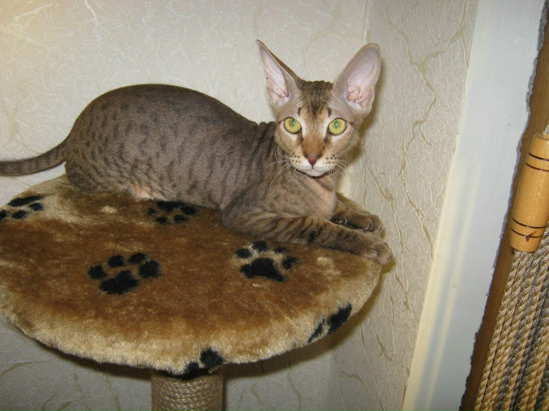 Наталья Загуляева | 