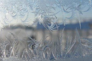 Богдан Карась | Минск