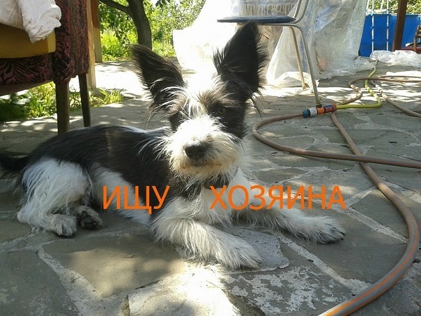 №5, Александра Сергеева, Киев №5, Александра Сергеева, Киев