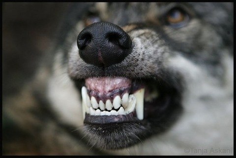 Влад Панченко .::ADIDAS::. | Шостка