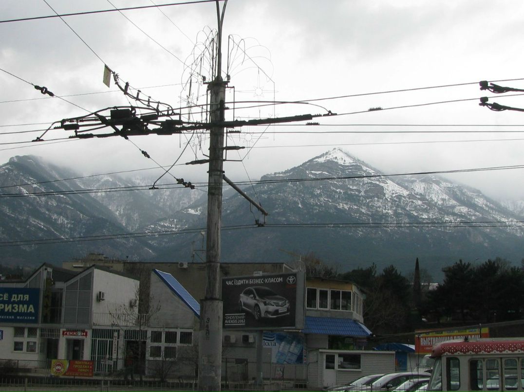 Миша Шорин | Николаев