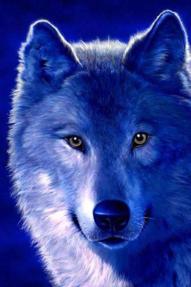 Андрей Кравченко | Киев