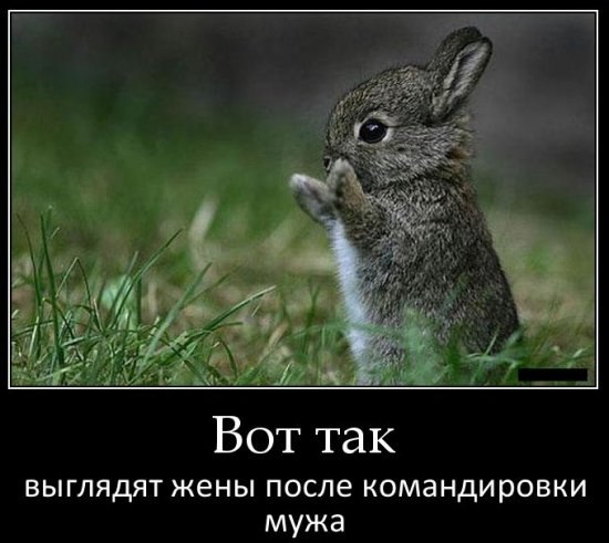 Санёк Рябев | Великий Новгород