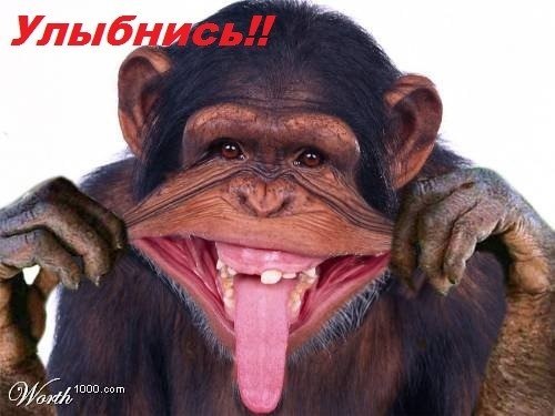 Женя Степанов | Снежногорск