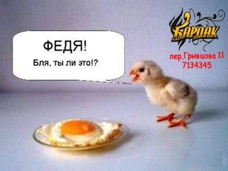 №3, Владислав Дочкин, 30 лет №3, Владислав Дочкин, 30 лет