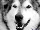 №18 Анна Οрлова 30.09.1997: профиль, фото, статус - ВКонтакте