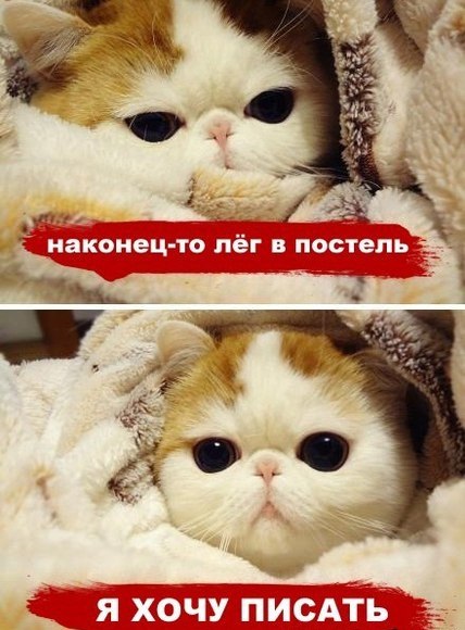 Ирина Милоста | Санкт-Петербург