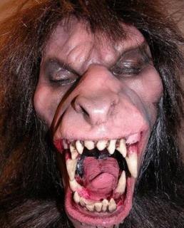 Павел Точилин | Верхнеторецкое