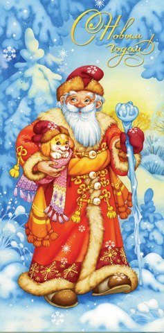 Анастасия Денкевич | Сыктывкар